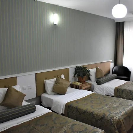 Hotell Dınar 2*